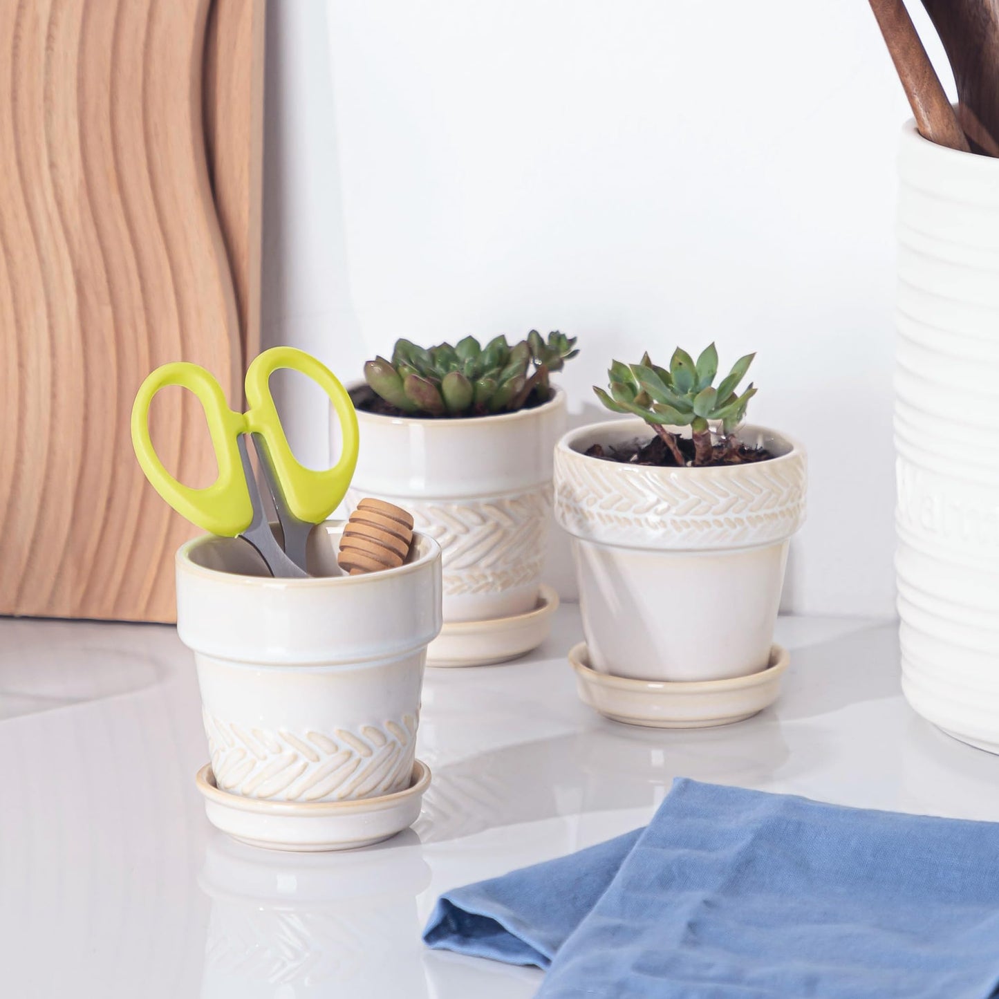 Fayoula Succulent pots,Indoor Small Succulent Bonsai,3 Inch Mini Ceramic Succulent Pots with Saucer and Drainage Hole, Decorative Planter for Succulent, Cactus, Set of 4.