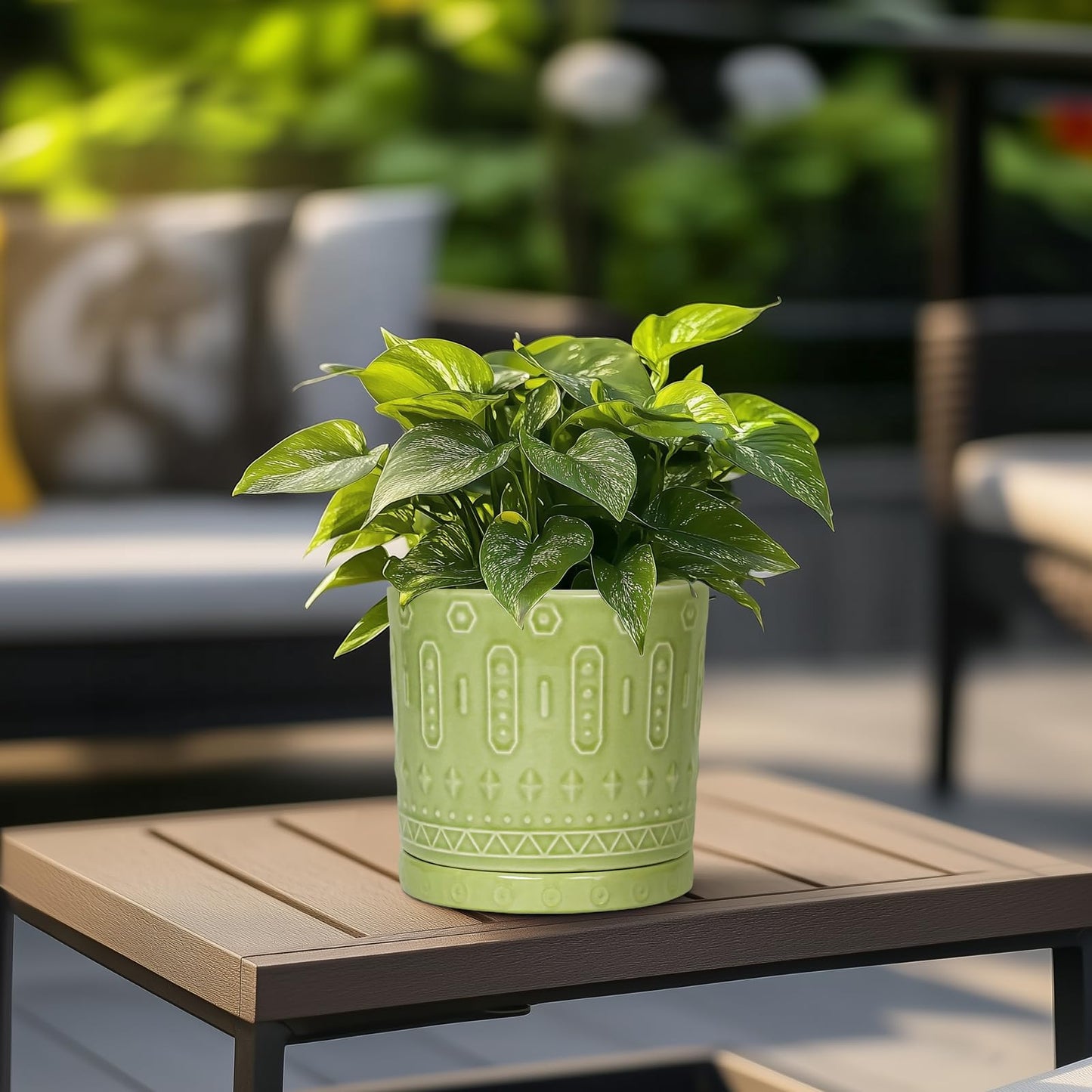 Eightpot Ceramic Pot for Plants - 6 Inch Indoor Planter with Drainage Hole and Saucer, Round Decorative Flower Pots Outdoor, Boho Succulent Planter, Garden Home Decor, Gifts for Plant Lover, Green