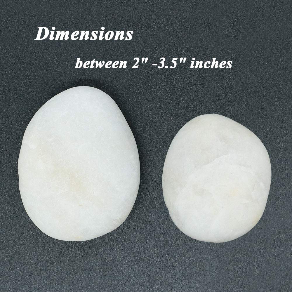 White River Rocks for Painting – 20 Big Rocks, 2” - 3.5” Inch Flat Smooth Stones, about 6 LB. of Craft Rocks for Rock Painting, Kindness Stones, Painting Rocks Supplies for Adults and Kids