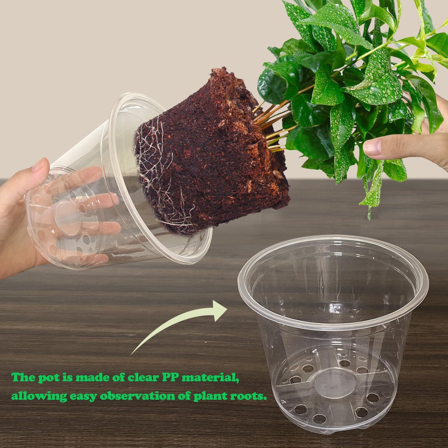 RAOOKIF 30 Pack 5/6/7 Inch Reinforced Clear Nursery Pots with Drainage Holes, Nursery Pots for Plants Variety Pack, Transparent Plastic Plant Pots for Seedlings, Seed Starters