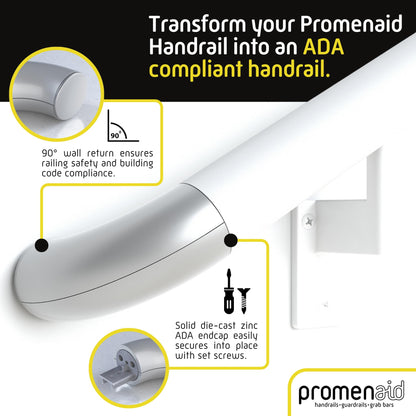 Promenaid - 1.5ft Flush Handrail Kit Sliver Finish Complete Indoor/Outdoor Handrail for Stairs with ADA Wall Return Kit Flush Endcap Replacement