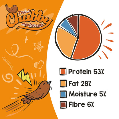 Chubby Mealworms (5 Litre), Dried Mealworms For Wild Birds, Protein Rich Dried Meal Worm High Energy for WildBirds, Reptiles, Gecko