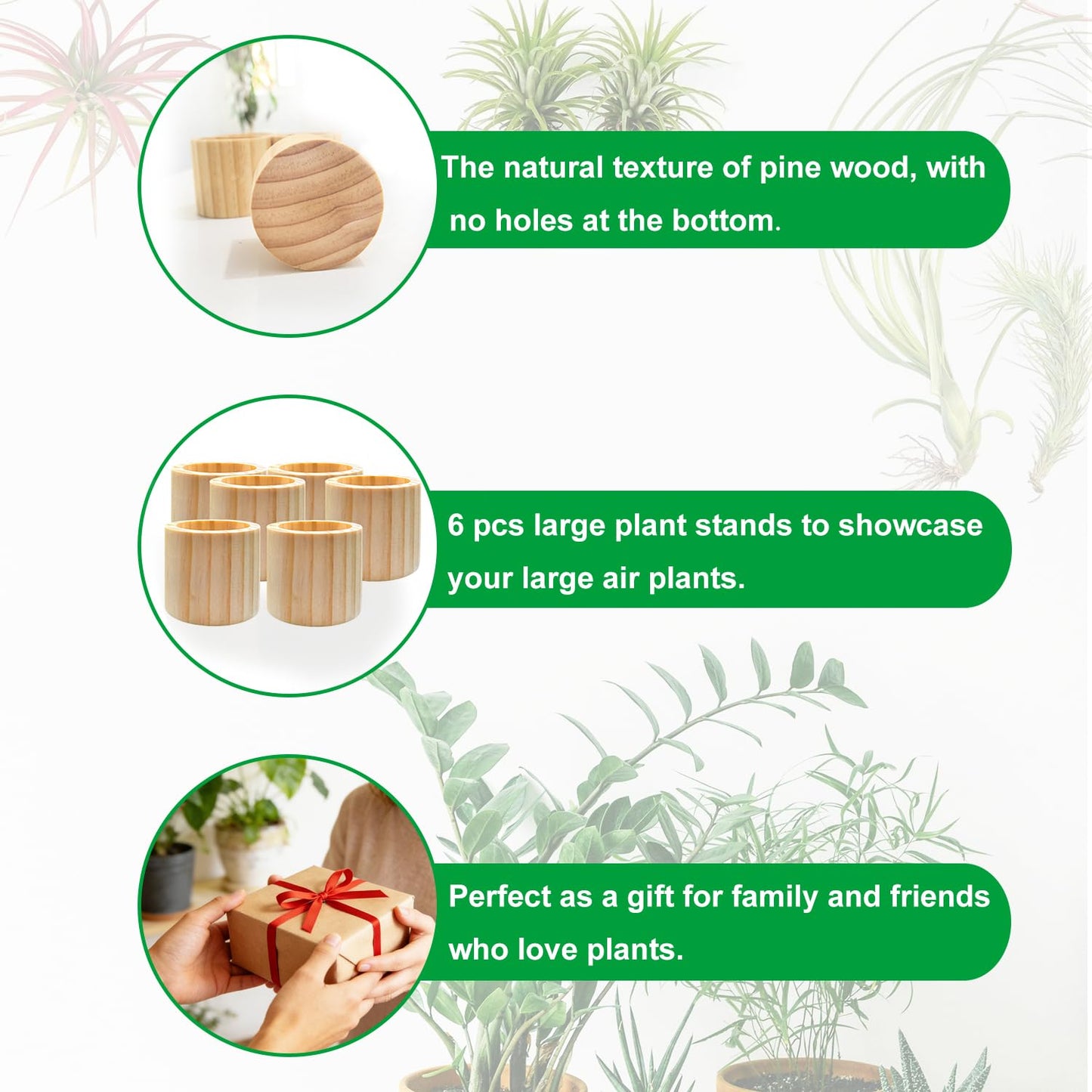 Belit 6 Pcs Air Plant Holder, Large Wooden Air Plants Live Holders for Home Decor (NO Plant Included)