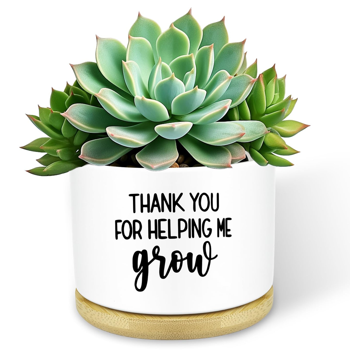 Thank You for Helping Me Grow Plant Pots Funny Small Succulent Pots Gifts Cute Planters Flower Pots Ceramic Pot for Plants Cactus, Thank You Plant Pot for House Indoor Garden, Plant Not Included