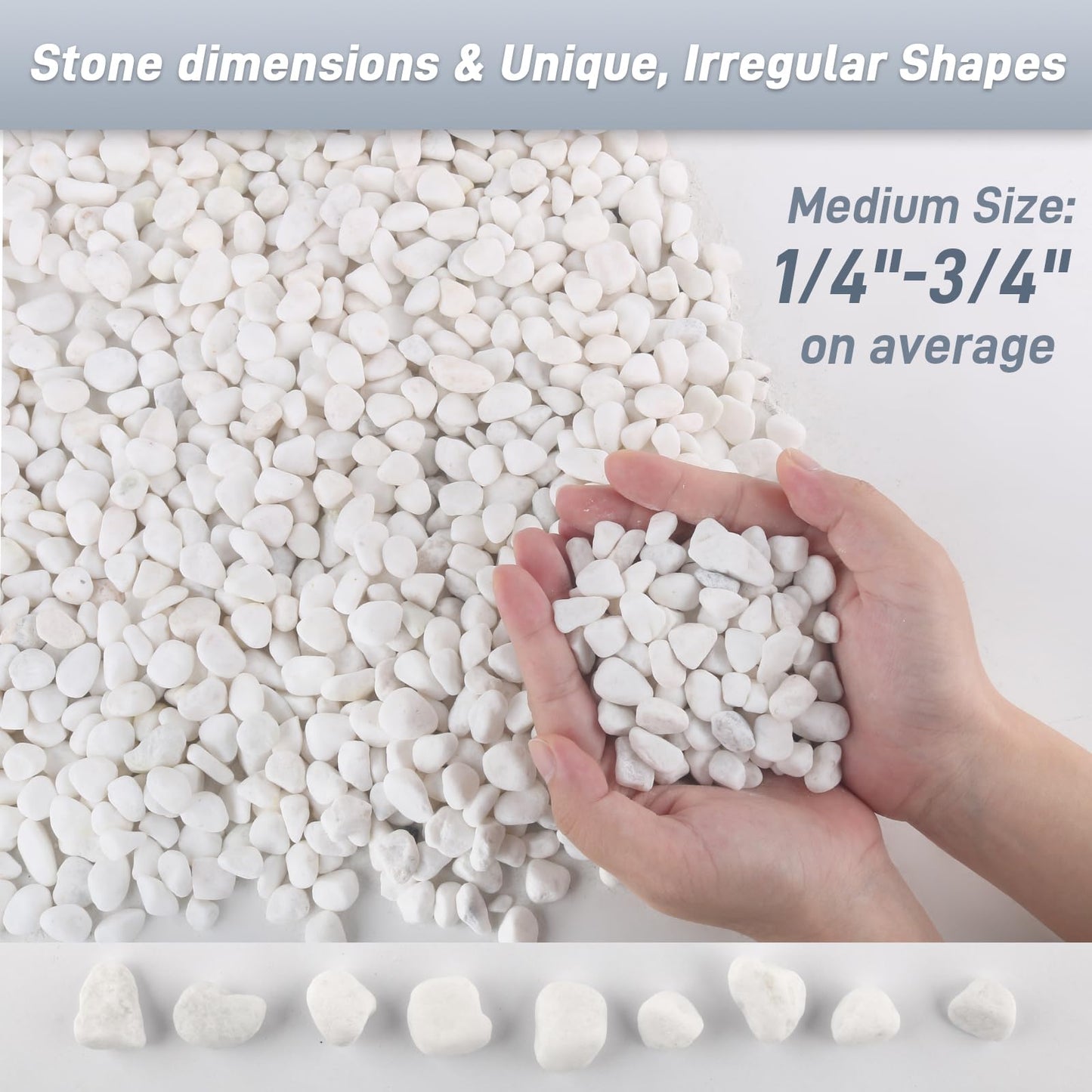 Mulctun 6Lb White Rocks for Plants, 1/4"-3/4" White Pebbles, Decorative Stones for Vases, Small Aquarium Gravel for Fish Tank Garden Rocks for Potted Plants & Home Decor