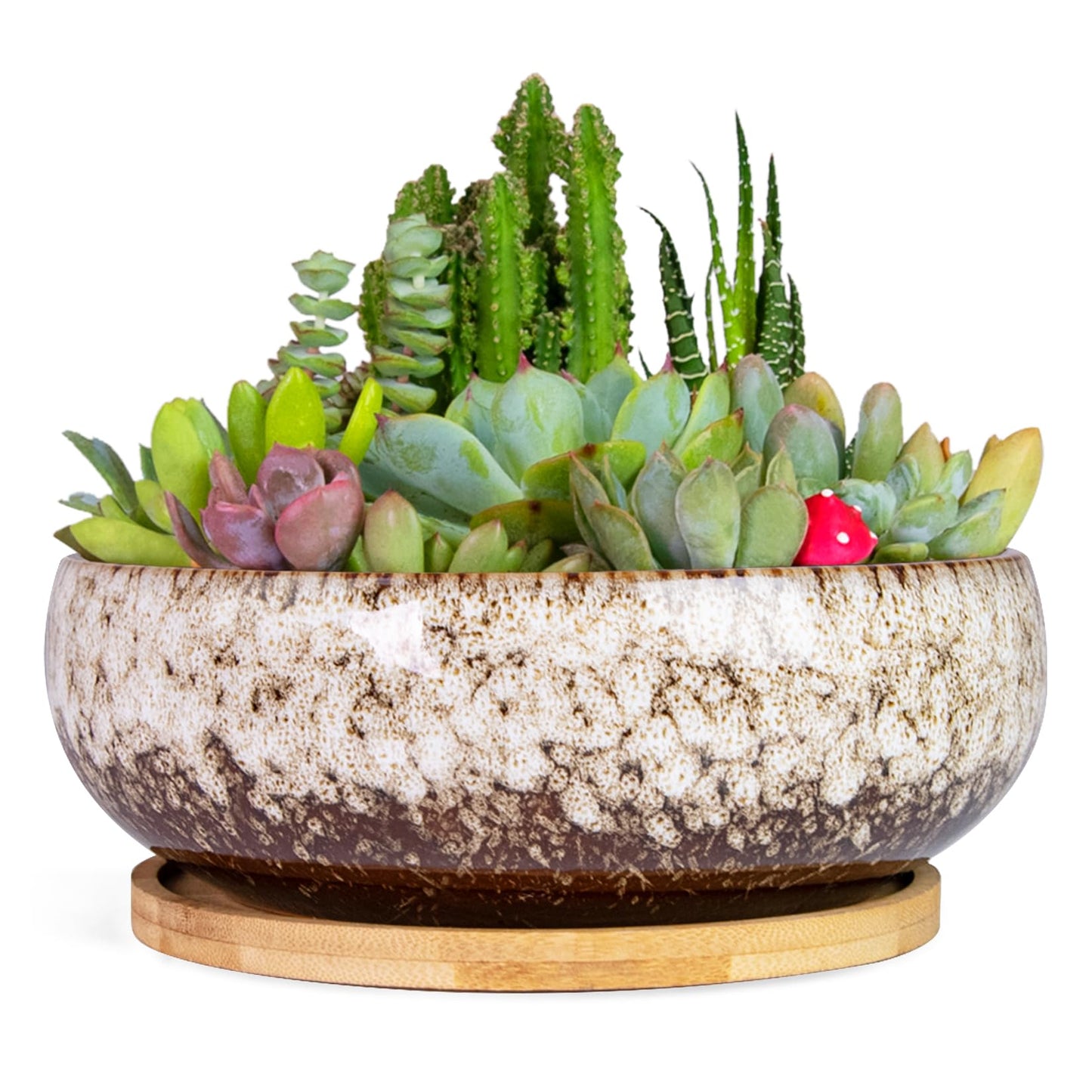 ARTKETTY Succulent Pots - 7.5 Inch Large Plant Pot with Bamboo Tray, Shallow Bonsai Pots with Drainage, Ceramic Planter for Indoor Plants, Cactus, Home Office Desk Decor
