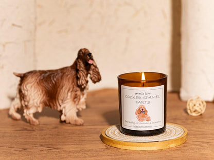Cocker Spaniel Gifts & Decor, Dog Mom Gifts, Smells Like Cocker Spaniel Farts Candle - Lavender & Eucalyptus, Crafted by Natural Soy Wax & Natural Essential Oils