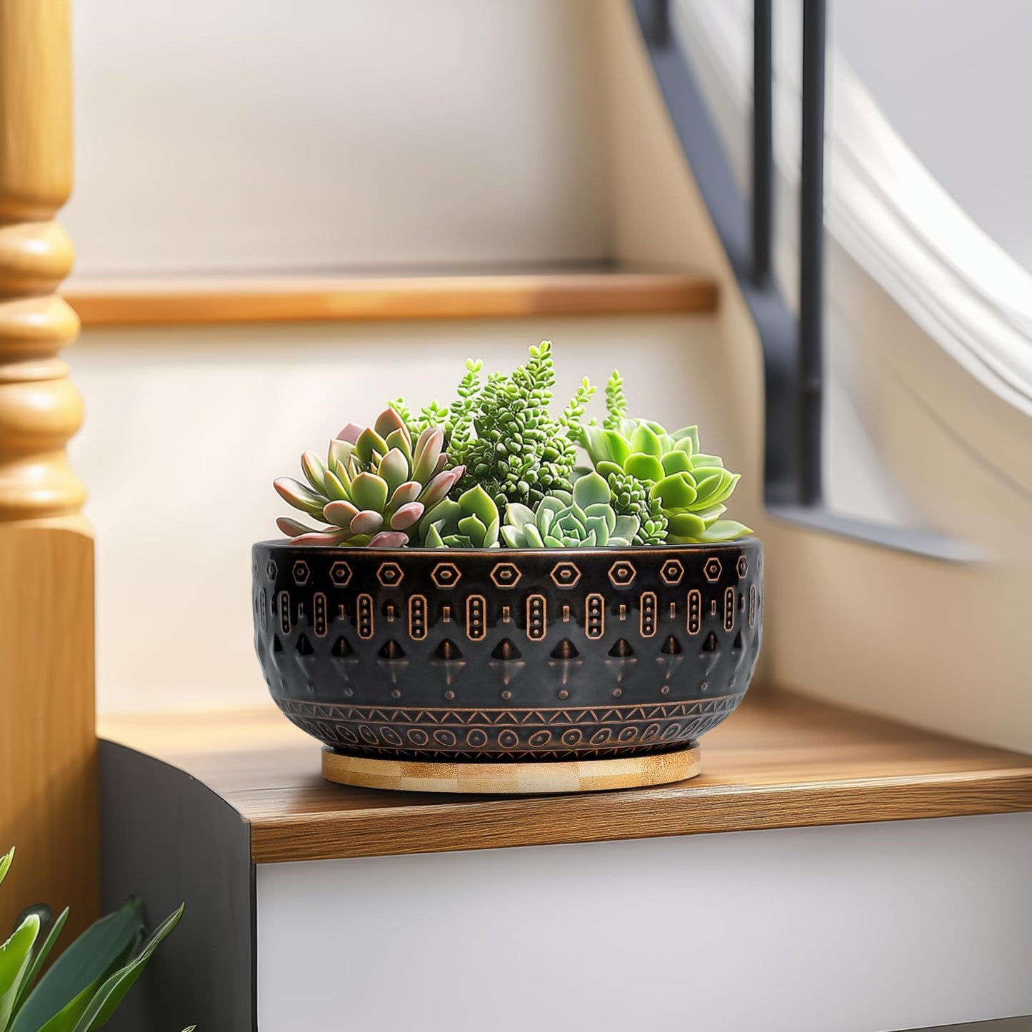 Fivepot Bonsai Planter - 8 Inch Ceramic Pots for Plants Indoor, Shallow Round Succulent Bowl with Drainage Hole and Tray for Cactus, Boho Room Garden House Decor, Birthday Gifts, Black