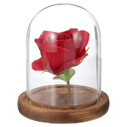 uxcell Glass Cloche Display Dome, 5.1" x 3.9" Glass Dome Display Case, Wood