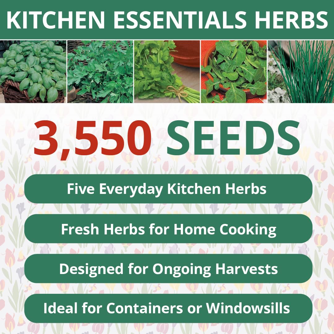 Kitchen Essentials Herb Garden Seed Collection, 5-Pack Variety Kit Contains 3,550 Seeds, Easy to Grow Food Seasoning, Live Plants | Basil, Parsley, Chives, Coriander, Arugula, Home Growing