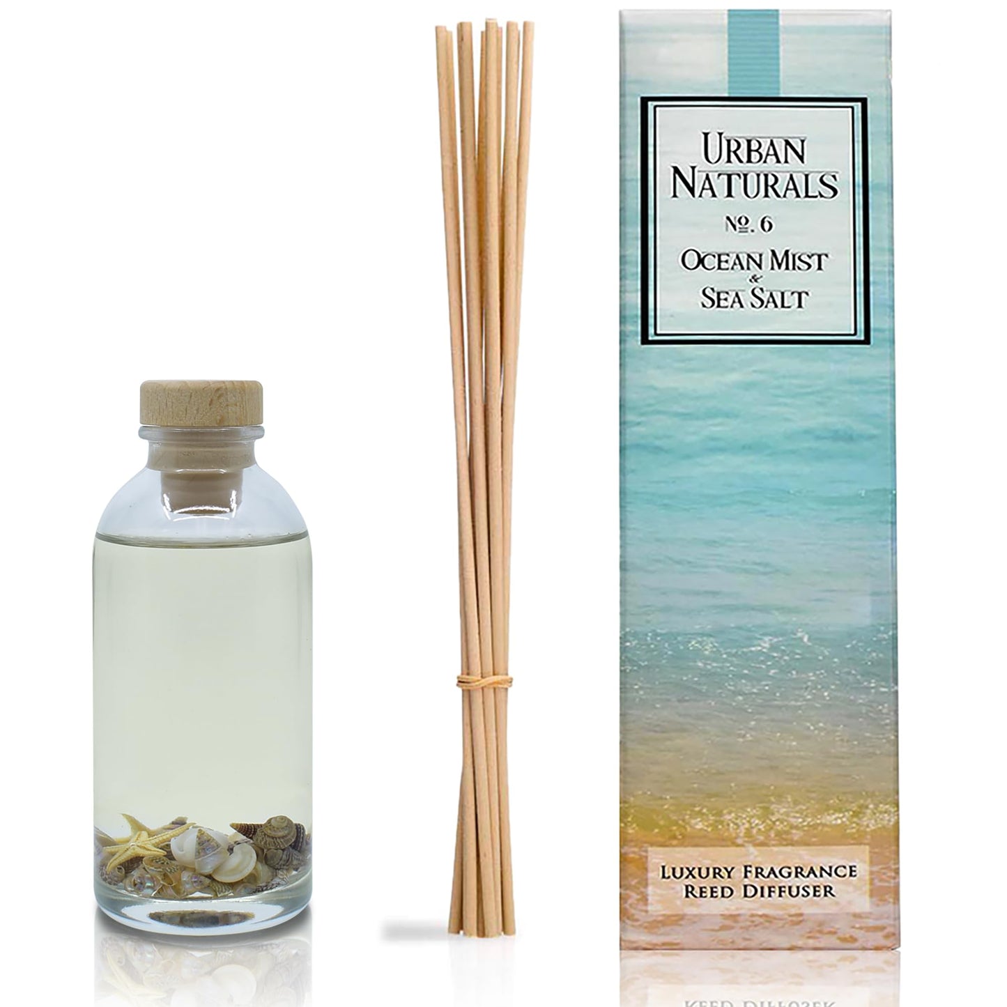 Urban Naturals Ocean Mist & Sea Salt Reed Diffuser Set | Made with Essential Oils & Real Seashells | Decorative Air Freshener Room Diffuser