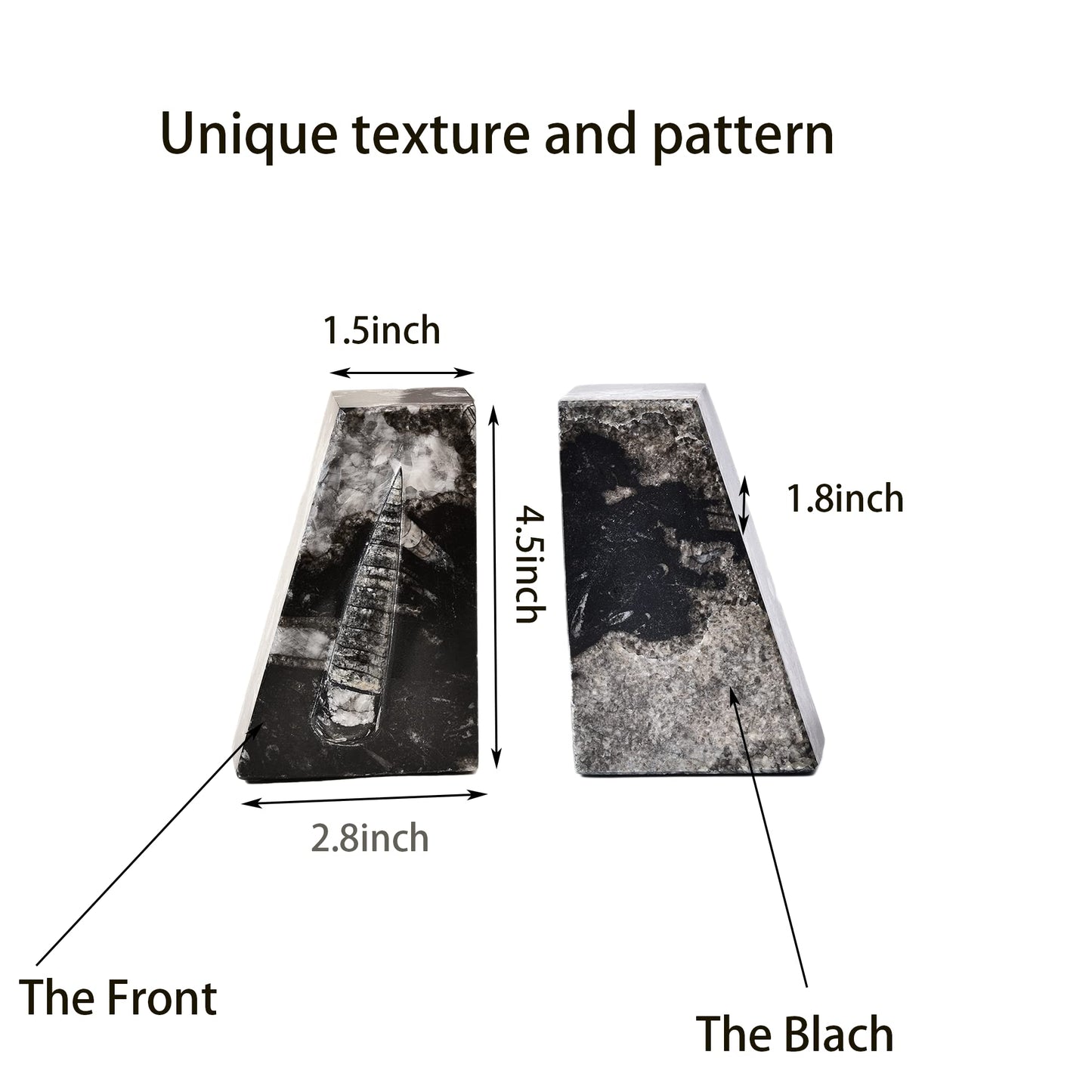 JIC Gem Natural Orthoceras Fossil Bookends-Black Fossilized Wedge Shaped Bookends with Rubber Bumpers for Office and Home Decoration Frome Morocco （1 Pair 4-5lbs ）
