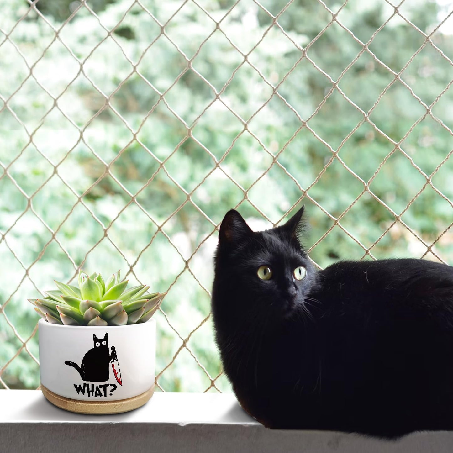 Jutasty Funny Black Cat Plant Pot for Succulent, Cactus Flower Planter for Indoor Plants, Unique Succulents Pots with Drainage, Cats Owner Gifts, Home Desk Decor Planter Gift for Cat Lover (No Plants)