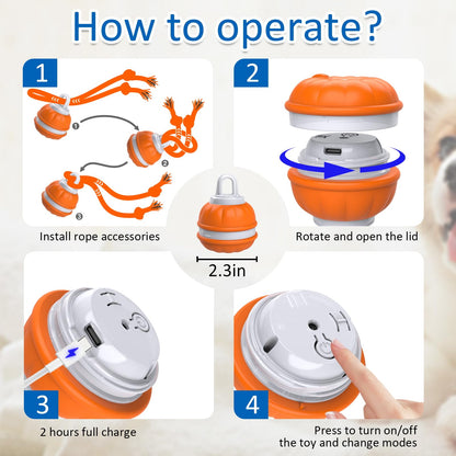 Sofolor Interactive Dog Toys, Motion Activated Dog Ball, Automatic Rolling Ball Toys for Puppy/Small Dogs