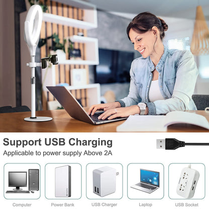 Desk Ring Light with Stand, 10.5'' Selfie Phone Light for Video Recording, Adjustable Circle Ringlight for Computer Laptop Zoom Meeting, Conference Video Calls, Podcast, Streaming, Photography
