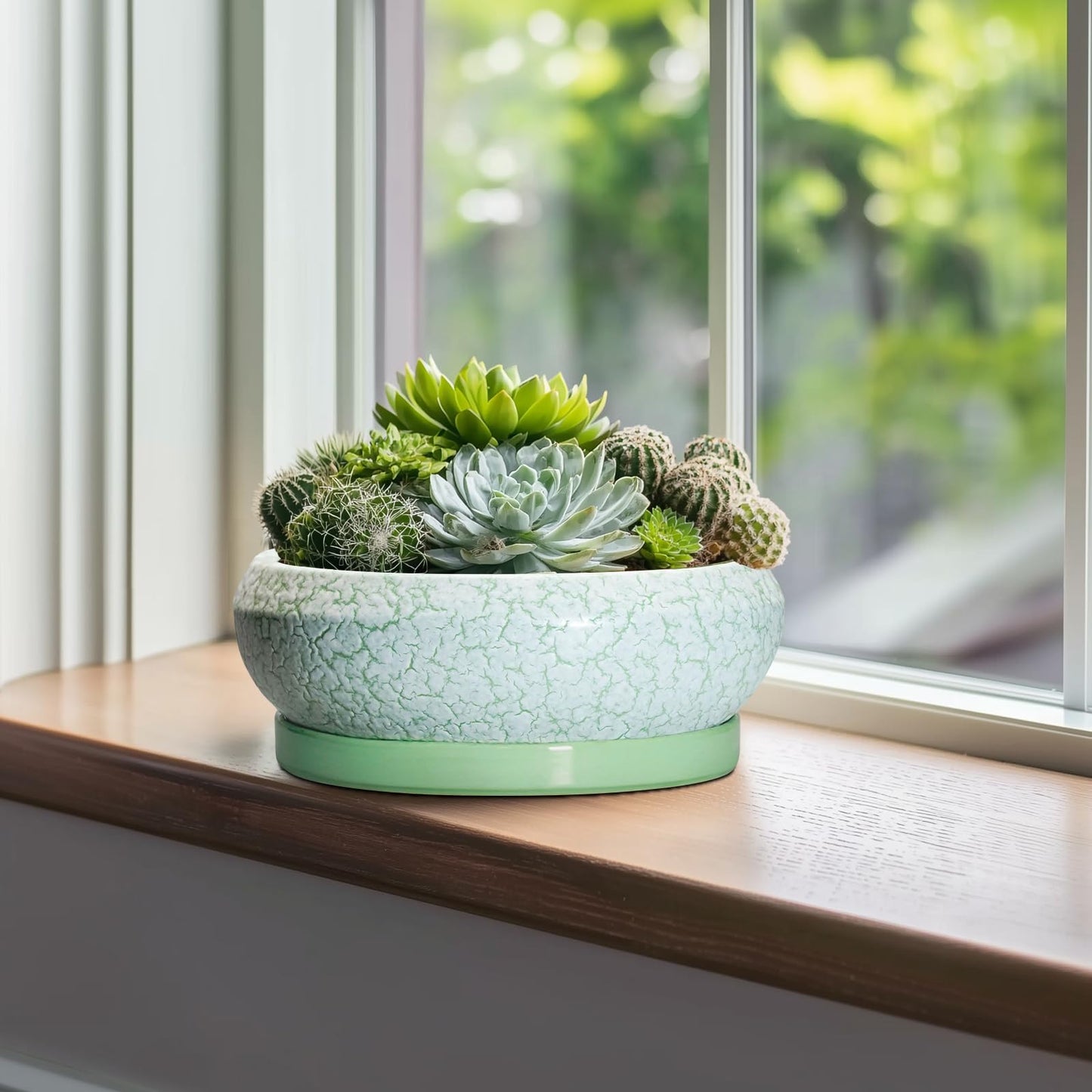 EPFamily Bonsai Pots - 10 Inch Ceramic Succulent Pot with Drainage Hole and Plant Saucer, Succulent Planters for Indoor Outdoor, Round Planter Bowl, Shallow Planter, Home Decor, Gardening Gift, Green
