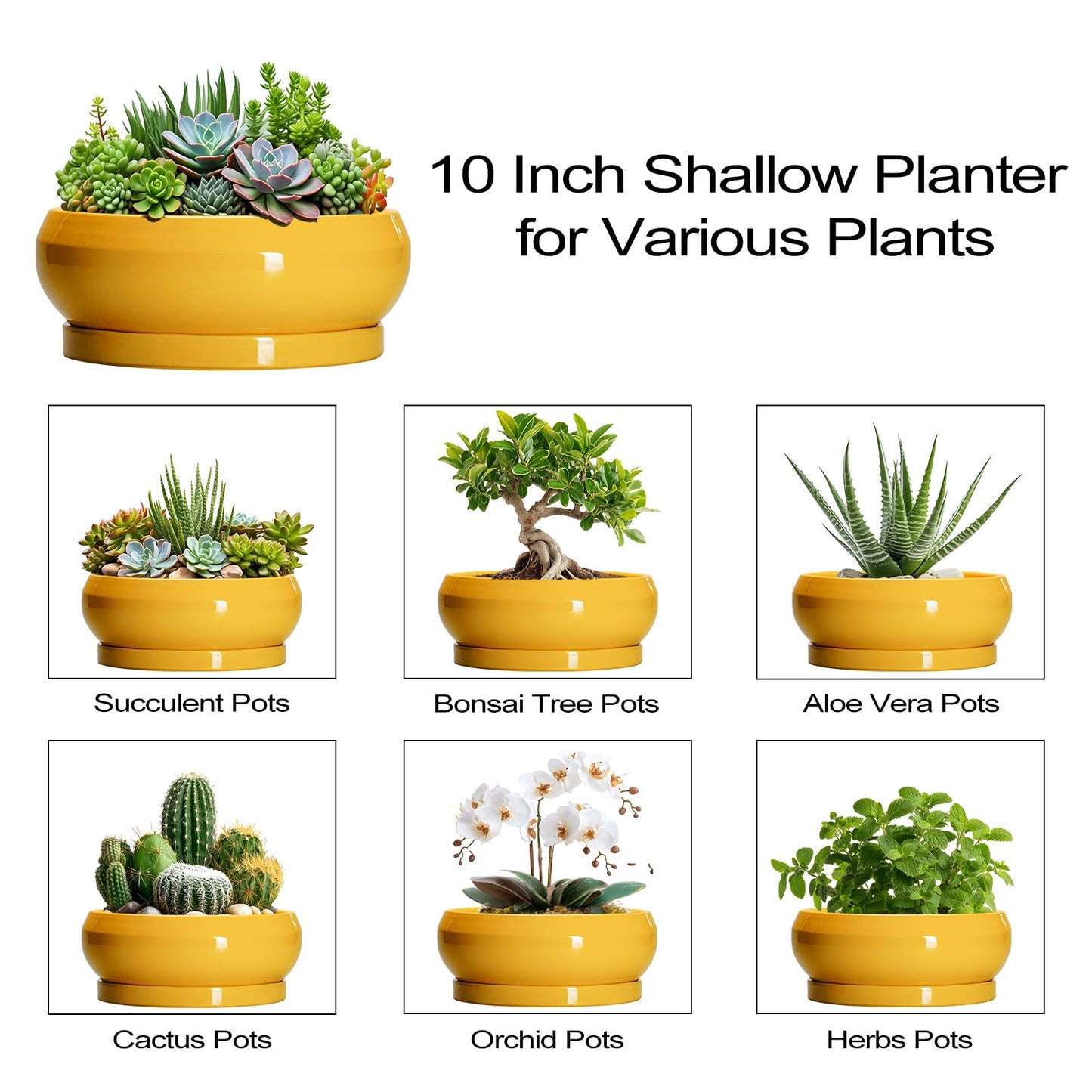 EPFamily Succulent Pots 10 Inch - Ceramic Bonsai Pots with Drainage Hole and Tray, Shallow Plant Pot Indoor Outdoor, Modern Bonsai Tree Pot, Round Planter Bowl, Home Decor, Housewarming Gift, Yellow
