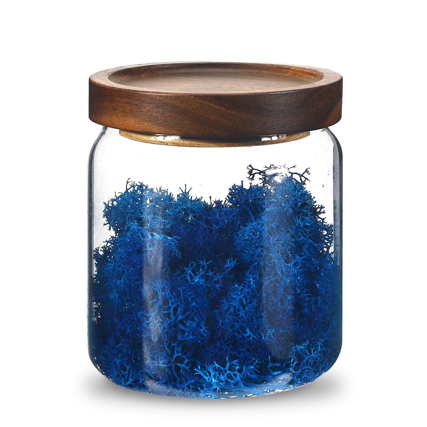 Glass Spice Jars Seasoning Containers Small Glass Jars with Lids Airtight Food Storage Canister for Kitchen Pantry Sugar Tea Coffee Bean Nuts Cookies Herbs Salt (473ml/16oz-1 pcs)