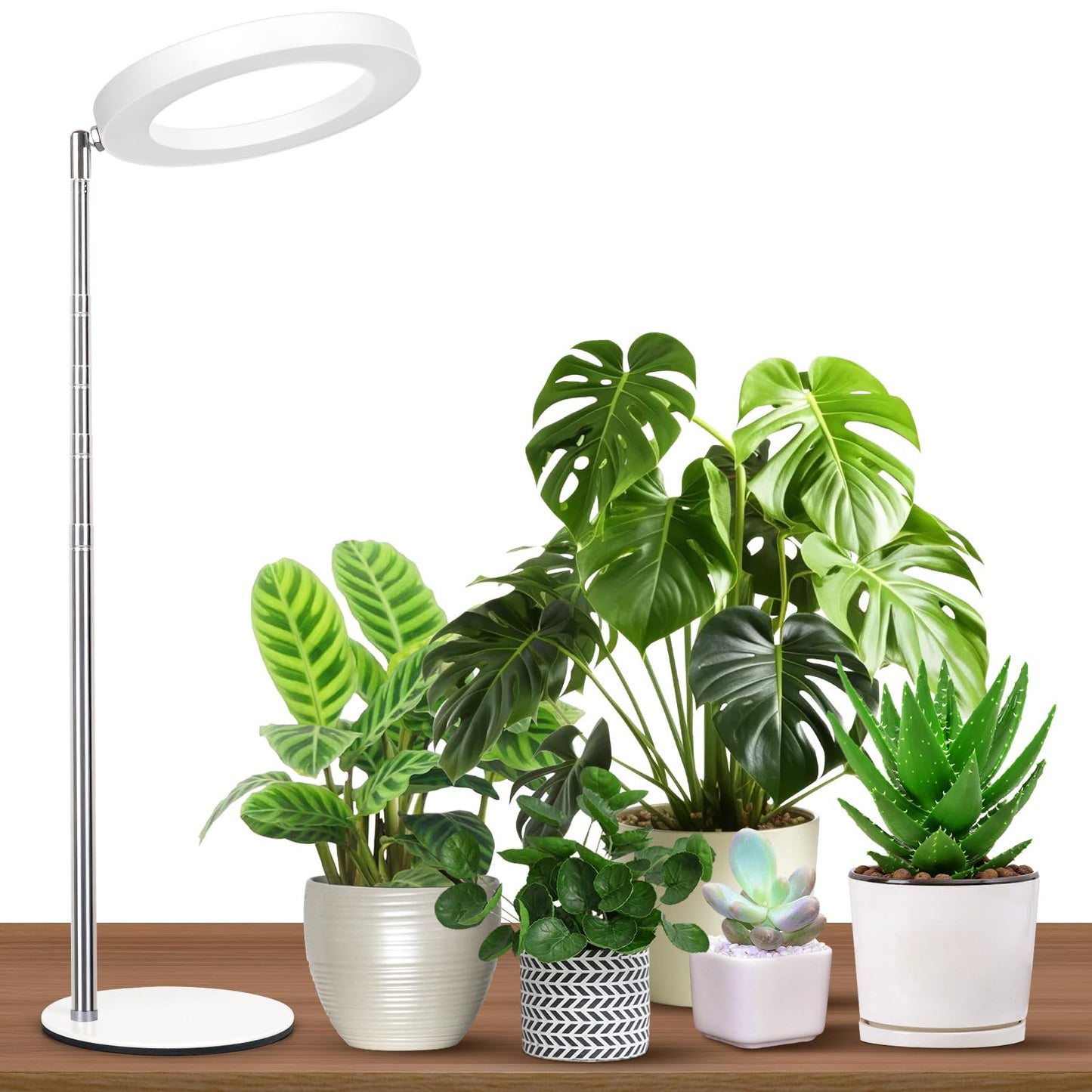GTRUIIDY Desktop Grow Light, Height Adjustable Grow Lights for Indoor Plants Full Spectrum, 3 Lighting Mode, Halo Grow Light with Timer, Plant Lights for Indoor Growing (White)