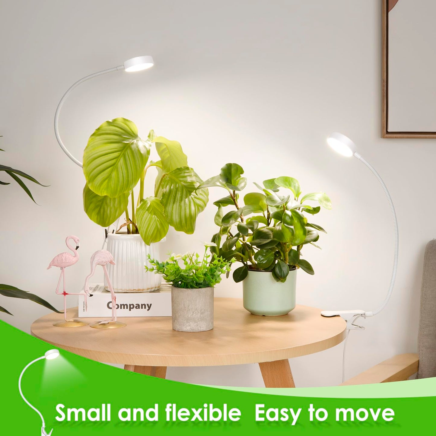 LORDEM Small Pot Clip Grow Light, Full Spectrum LED Plant Grow Lamp for Indoor Growing, Auto On/Off Timer 4/8/12H, Plant Light with 4 Dimmable Brightness Levels, Ideal for Small Indoor Plants, 2 Pack