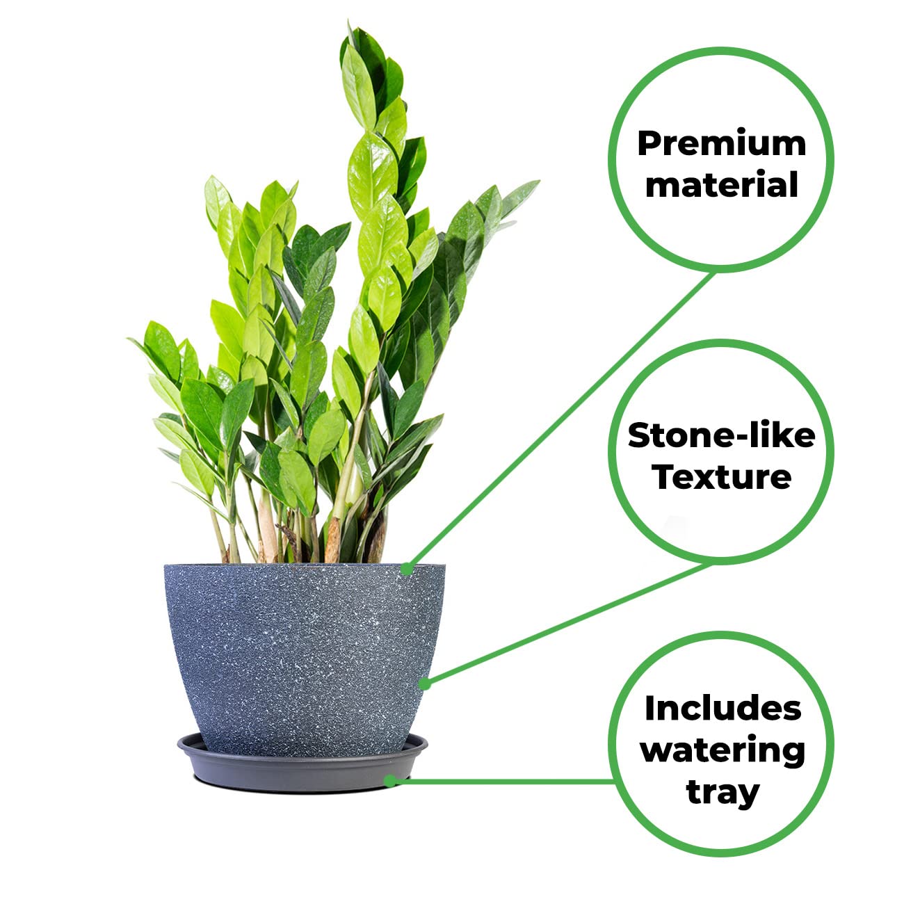 Perfect Plants ZZ Plant 6in. in Midnight Blue Décor Pot | Zamioculcas Zamiifolia | Easy Care Houseplant | Perfect for Moderate to Bright Light Conditions