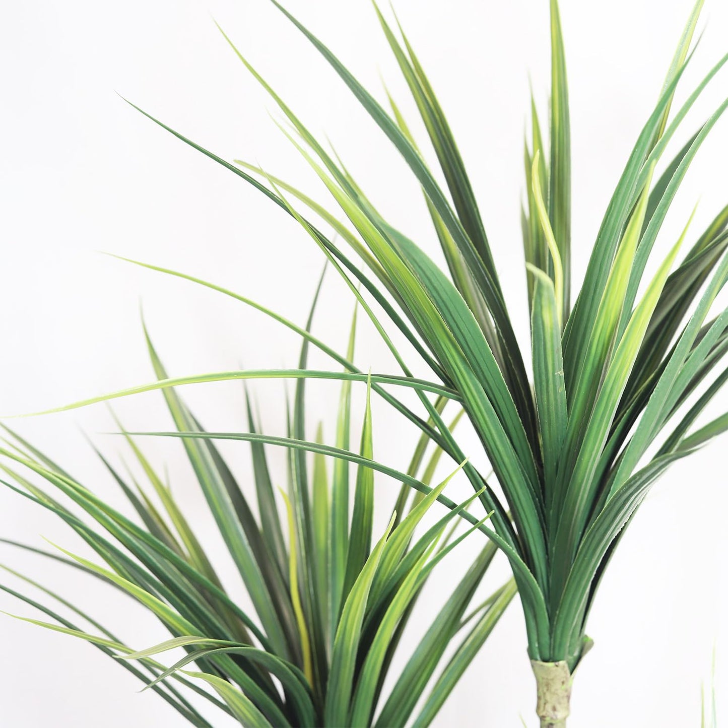 5FT Artificial Dracaena Tree: Realistic Fake Plant with White Planter - Lifelike Silk Floor Plant for Living Room Home Office Decor - Low Maintenance Indoor Tree