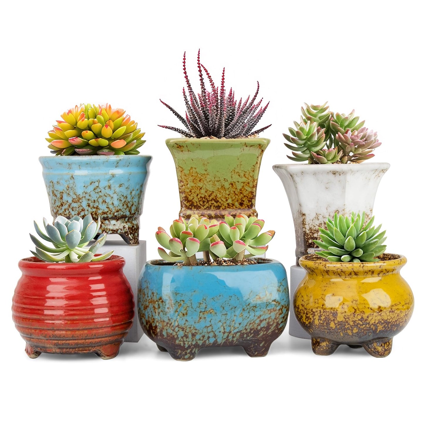 ARTKETTY Succulent Pots - Small Succulent Plant Pot with Drainage Set of 6, Ceramic Cactus Planter Pots for Indoor Unique Flower Planter Container for Home Office Decor