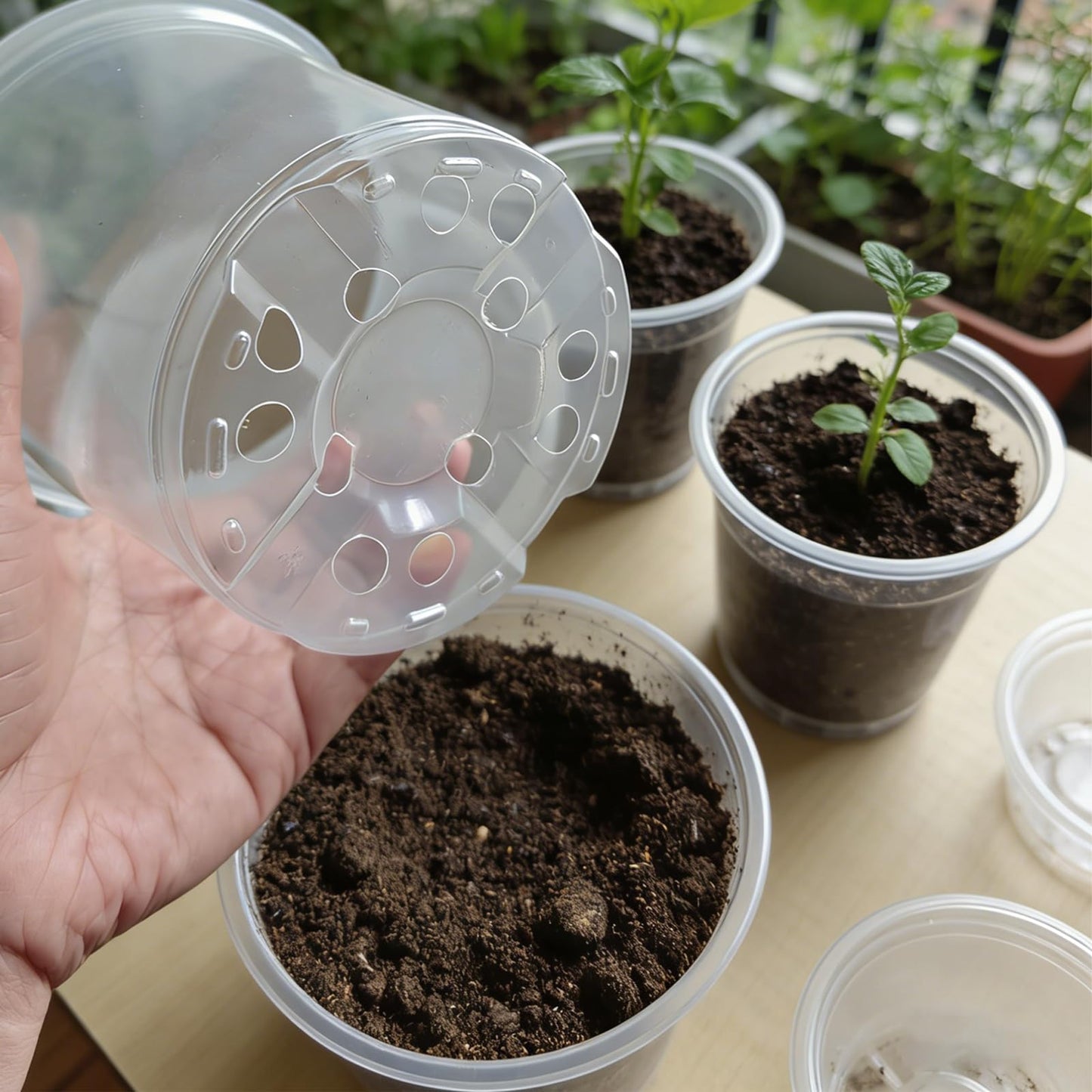 Tuphuv 25 Packs 3/4/5/6/7 Inch Clear Nursery Pots with Drainage Holes & Saucers, Transparent Plastic Plant Pots Variety Pack for Seed Starting, Succulents, Flowers, Herbs, with 25 Plant Labels