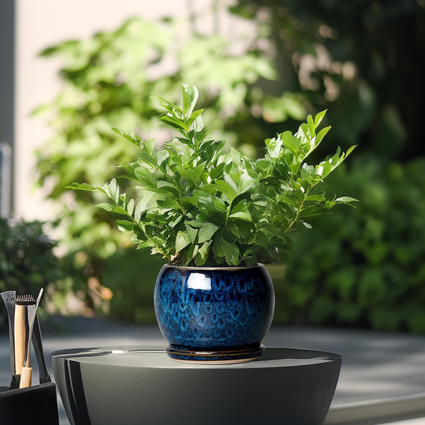 SQOWL 6 Inch Plant Pot - Ceramic Planter Pot with Drainage Hole and Saucer, Succulent Pot Round Flower Pot for Indoor Plants Outdoor, Blue