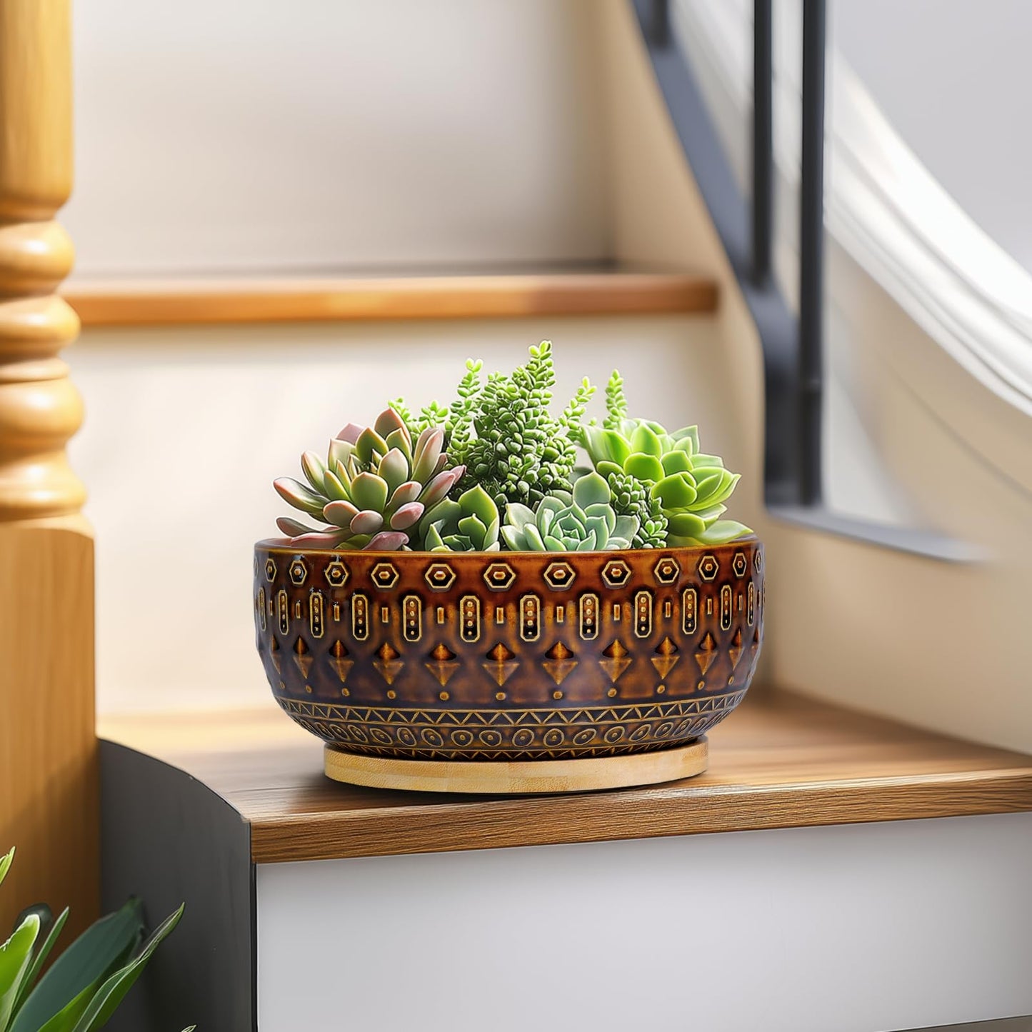 Fivepot Bonsai Pots - 8 Inch Ceramic Planter with Drainage Hole and Saucer, Boho Round Shallow Succulent Bowl for Indoor Plants Flower, Room Decor, Gifts for Plant Lovers, Brown