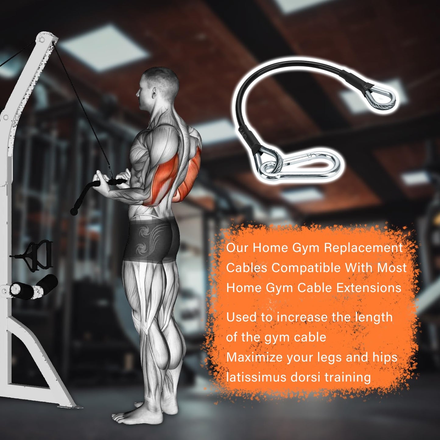 10" Gym Cable Extension Compatible with Bowflex Home Gym Accessories,for LAT/Tricep Pull Down and Leg Extensions Machine