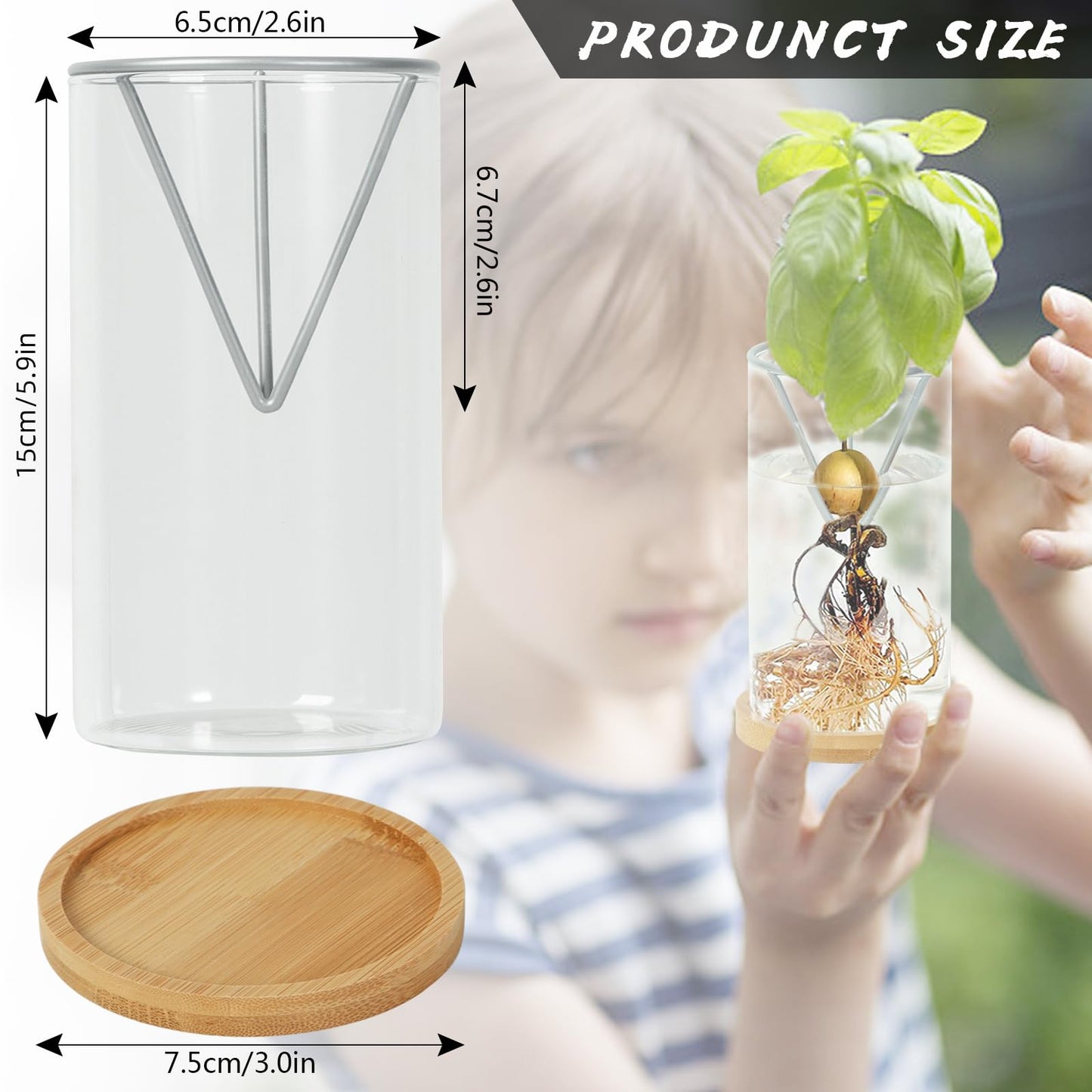 2 Pack Avocado Tree Growing Kits, Avocado Growing Vase Wooden Base Avocado Seed Starter Vase Glass Plant Pot Easy Seed Sprout Starter Gift for Women Gardening Lovers Home Office Table Decoration