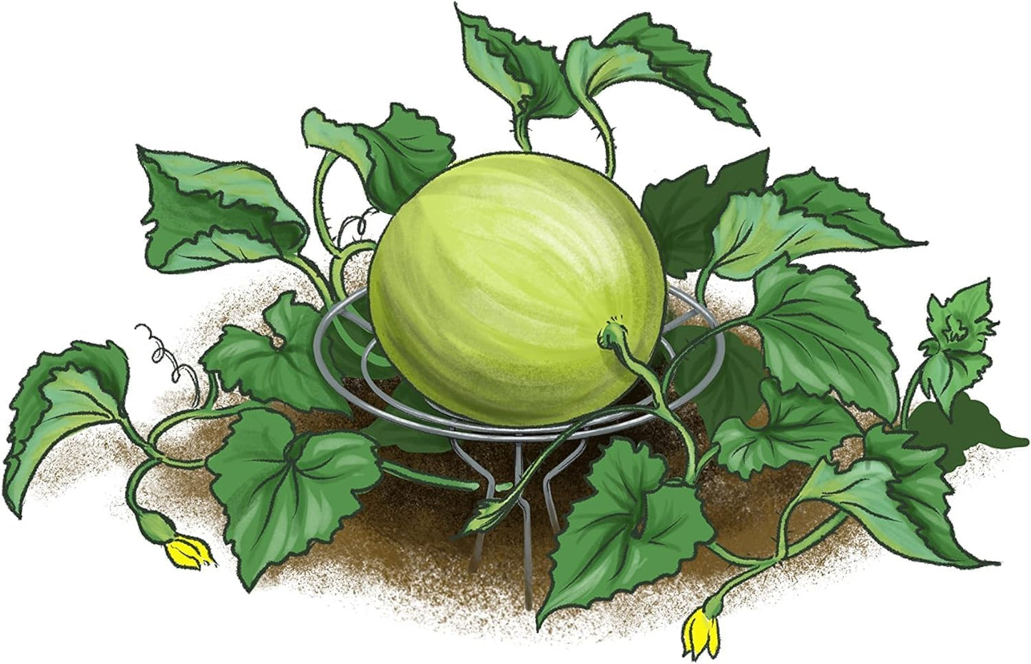 Park Seed Galvanized Steel Melon Cradle for Growing Your Own Fruits and Vegetables (5 Pack)