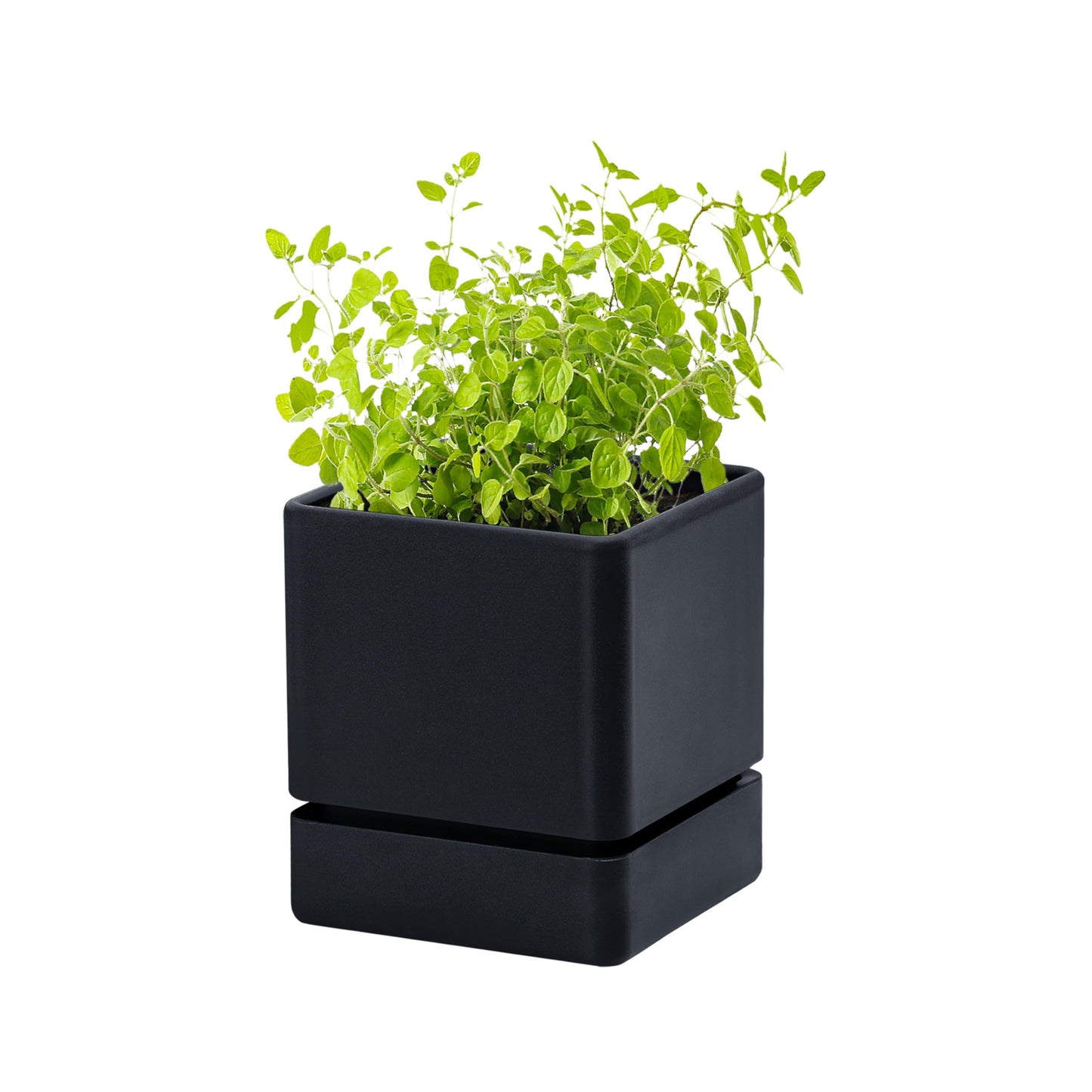 D'vine Dev 4 Inch Herb Planter Pot, Plastic Planter with Drainage Holes and Saucer, Modern Decorative Gardening Pot for Indoor Plants, Flowers, Herbs, Succulents, Black, Set of 1, 76-Y-B1-1