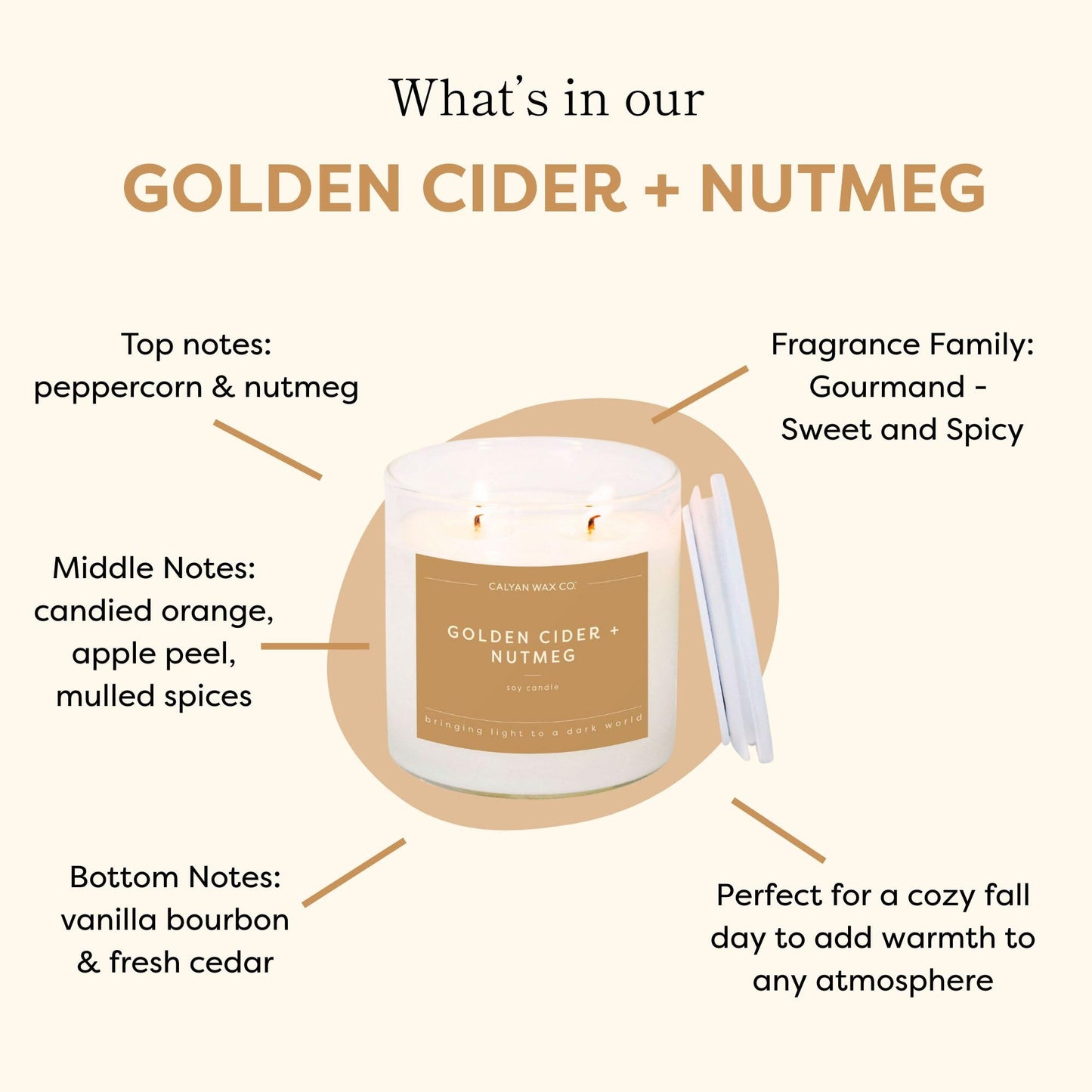Calyan Wax Co. Golden Cider & Nutmeg 2 Wick Scented Candle - 37 Hour Burn - Luxury Clean Soy Wax Candles - Long Lasting Large Glass Jar Candle for Home - 8.8oz