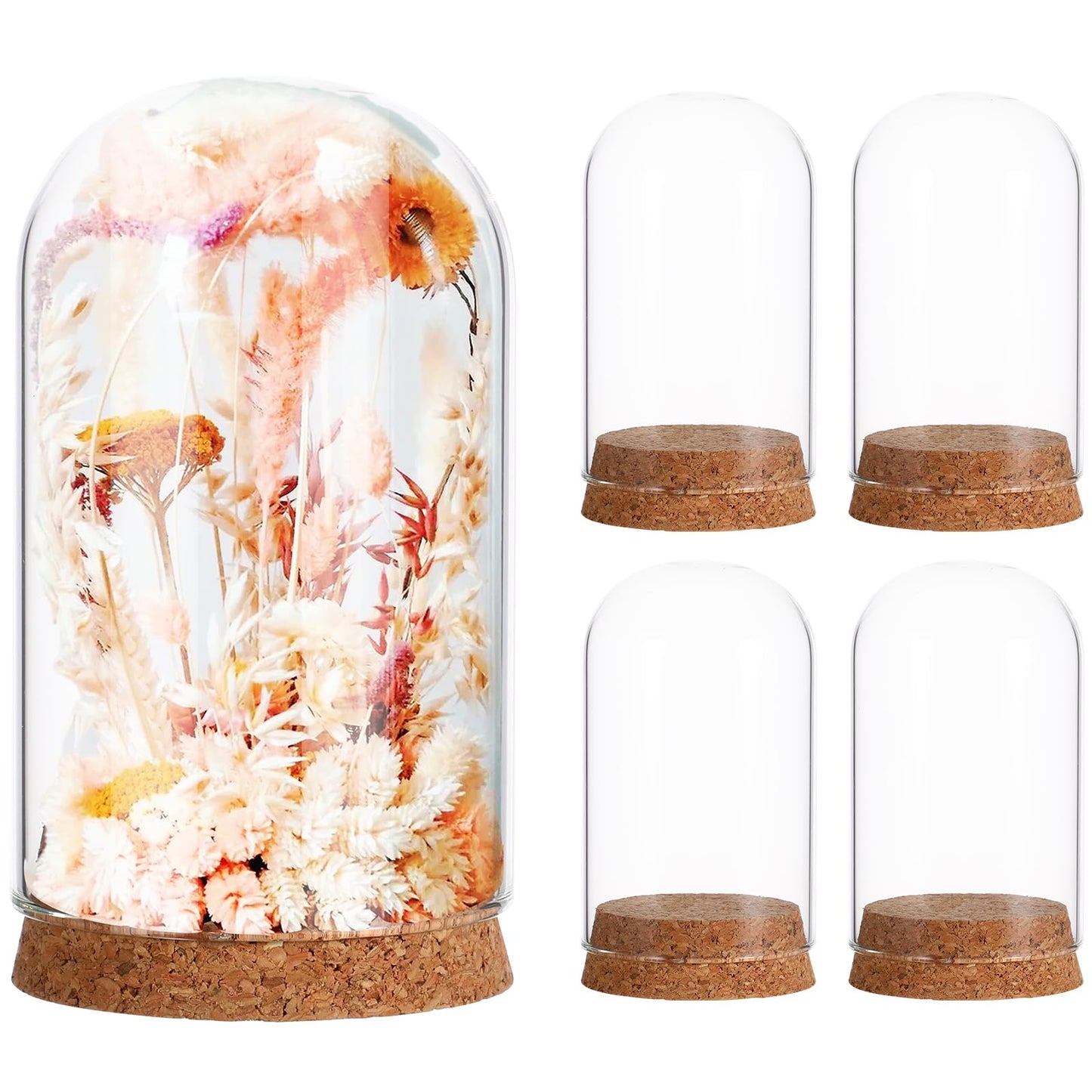 Ipetboom 5pcs Cloche Glass Dome Display Covers with Cork Base - Tabletop Centerpiece Bell Jar Showcase Terrarium for Eternal Flowers Gold Rose Micro Landscape Flower Plant Preserved - 3.9x2.4in