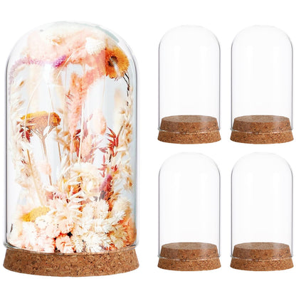 Ipetboom 5pcs Cloche Glass Dome Display Covers with Cork Base - Tabletop Centerpiece Bell Jar Showcase Terrarium for Eternal Flowers Gold Rose Micro Landscape Flower Plant Preserved - 3.9x2.4in