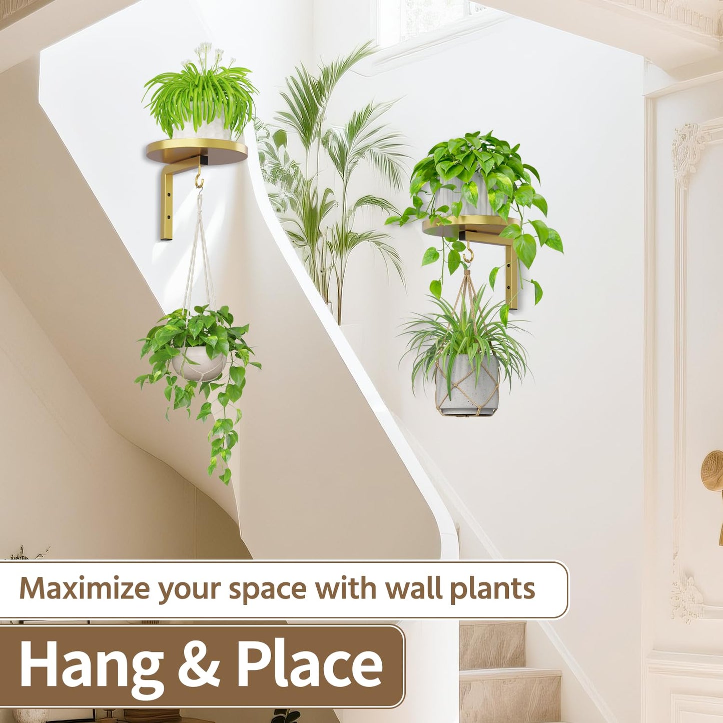 LASZOLA Plant Hangers Shelves Wall Mounted Indoor, Metal Window Plant Holders, 2Pcs Modern Floating Flower Display Stand with 2 Hooks for Outdoor Kitchen Bathroom Decor, Gold