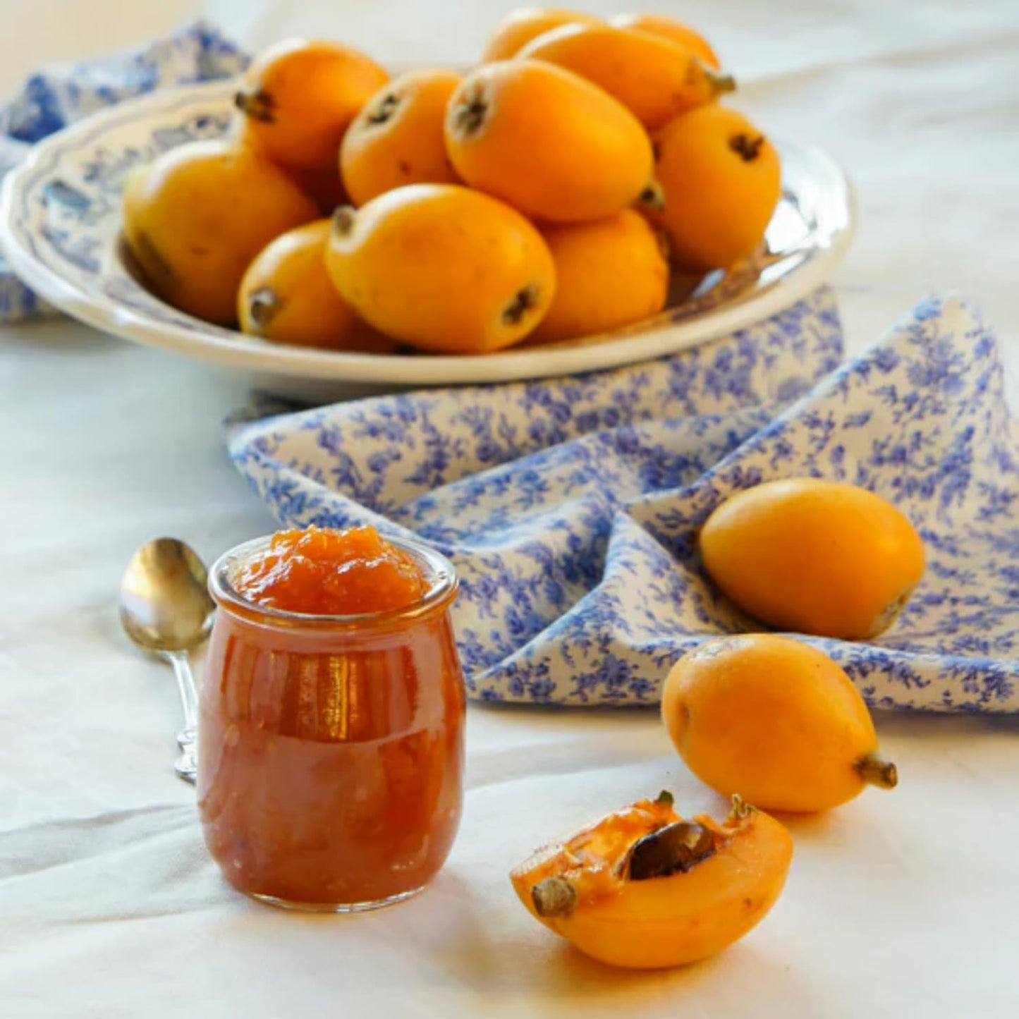 Loquat Tree Live Plant, Golden Loquat Plant Live, Cold Hardy Fruit Tropical Plant, Home Orchard Planting, 4 Inches Pot
