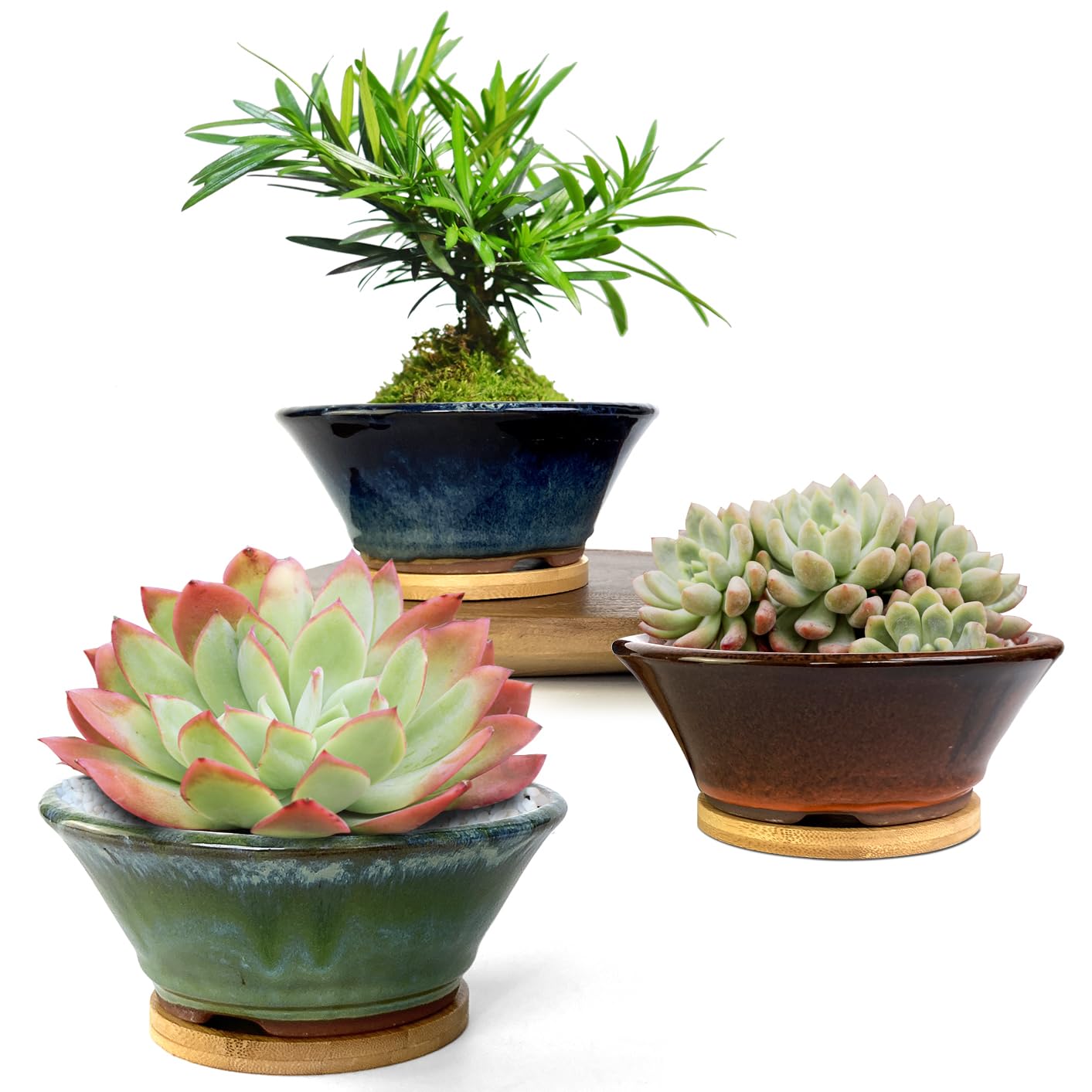 Summer Impressions 6 Inch Glazed Terracotta Succulent Pot Planter Small Plant Pot with Drainage Hole and Bamboo Saucer Cactus Ceramic Pot Set of 3 (Blue Green Orange)