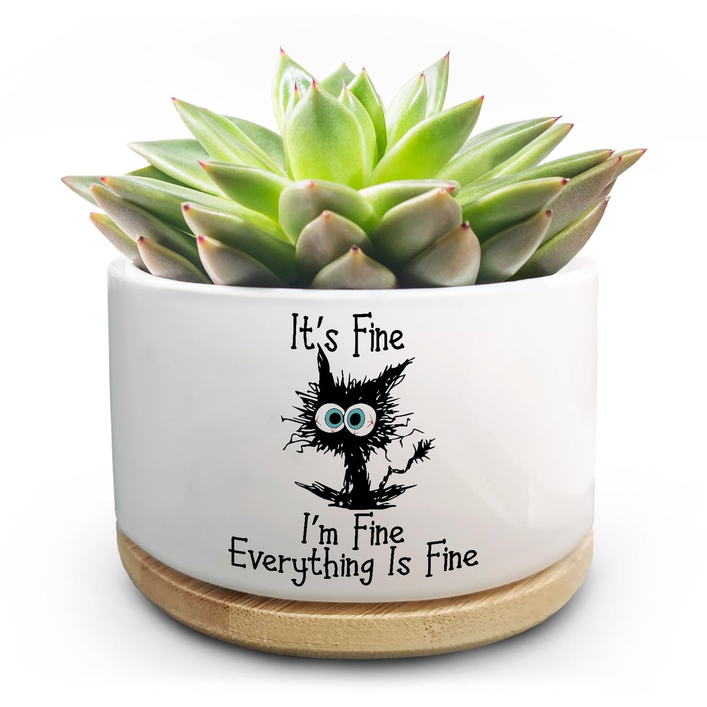 Jutasty Funny Cat Plant Pot for Succulent, Cactus Flower Planter for Indoor Plants, Cute Succulents Pots with Inspirational Quote, Windowsill Decor Planter Gift for Cats Owner Cat Lover (No Plants)