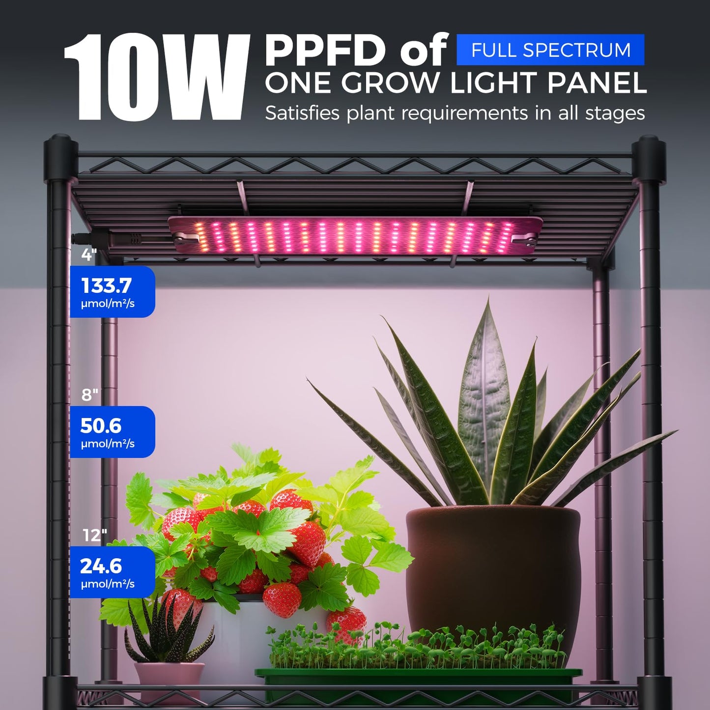 Barrina CX83 Plant Stand with Grow Lights, 6-Tier Plant Shelf with 10W Full Spectrum Ultra-Thin Grow Light Panel, 3 Modes, Auto Timer, Ladder Flower Pot Stand Display Rack 15.7" L x 11.8" W x 70.9" H