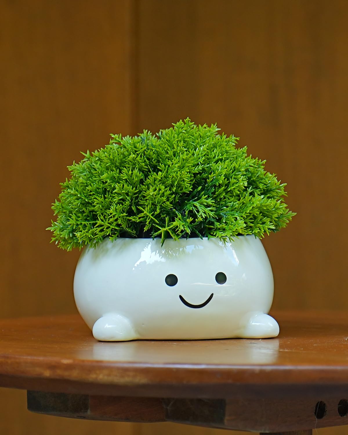 GaloTrek Smily Face Planter Pot Funny Toilet Plant Pots Cute Ceramic Flower Head Planters Succulent Pots for Indoor Outdoor Plants Unique Bathroom Planter with Drainage Hole