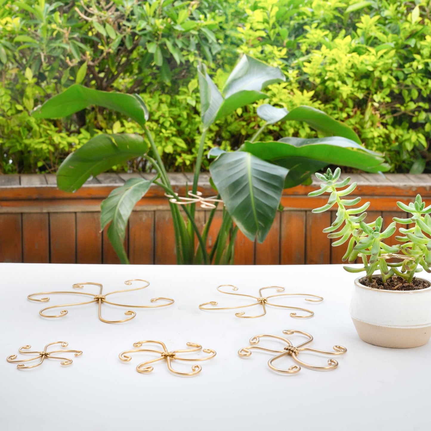 GOOOXIM 5PCS 7.5 Inch Monstera Plant Stem Support Hook - Premium Metal Structure for Indoor Plants, Durable and Elegant Stem Holder with Soft Touch Clips for Stable Growth