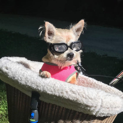 Namsan Dog Glasses, Anti-UV Protective Sunglasses for Small Dogs, Clear