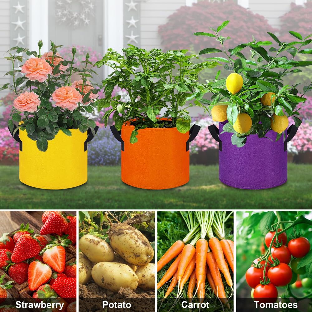 kuchisity 5 Gallon Grow Bags, 12 Pack Multicolor Fabric Plant Pot Bag with Handles Plant Grow Bags for Flowers, Fruits and Vegetables ﻿(Blue+Green+Yellow+Orange+Red+Purple)
