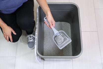 Petmate Enclosed Cat Litter Boxes - Top Entry Cat Litter Box Enclosure with Filter Lid, Made in USA