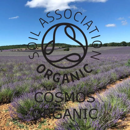 Absolute Aromas Organic Lavender Essential Oil 10ml - 100% Pure, Natural, Vegan, Undiluted and Cruelty-Free - for use in Diffusers, Oil Burners and Aromatherapy Blends
