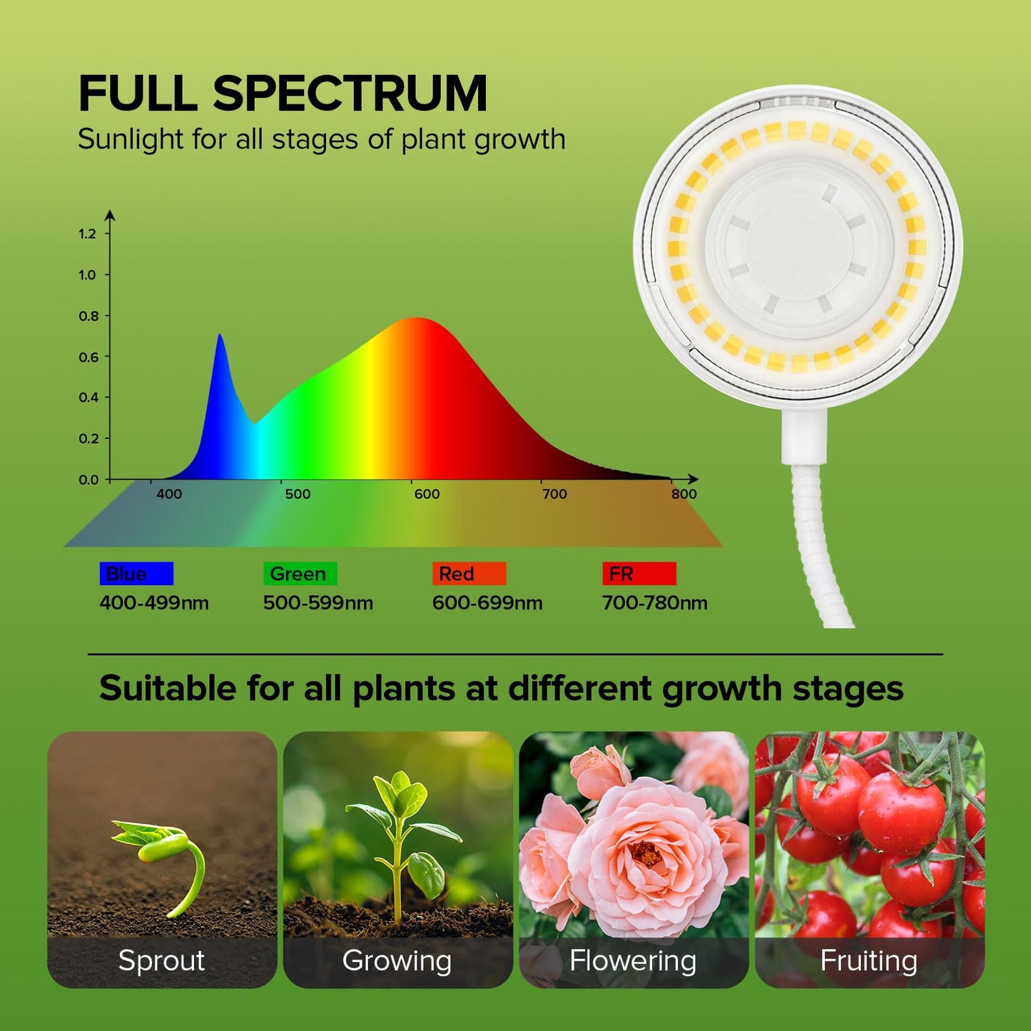 SGLEDs Desktop Indoor Plant Grow Light, 12W Full Spectrum,Plant lamp with 4 Dimmable & 3 Timer Modes, 360° Gooseneck Plant Lights for Office Desk Small Grow Lights for Indoor Plants(White)