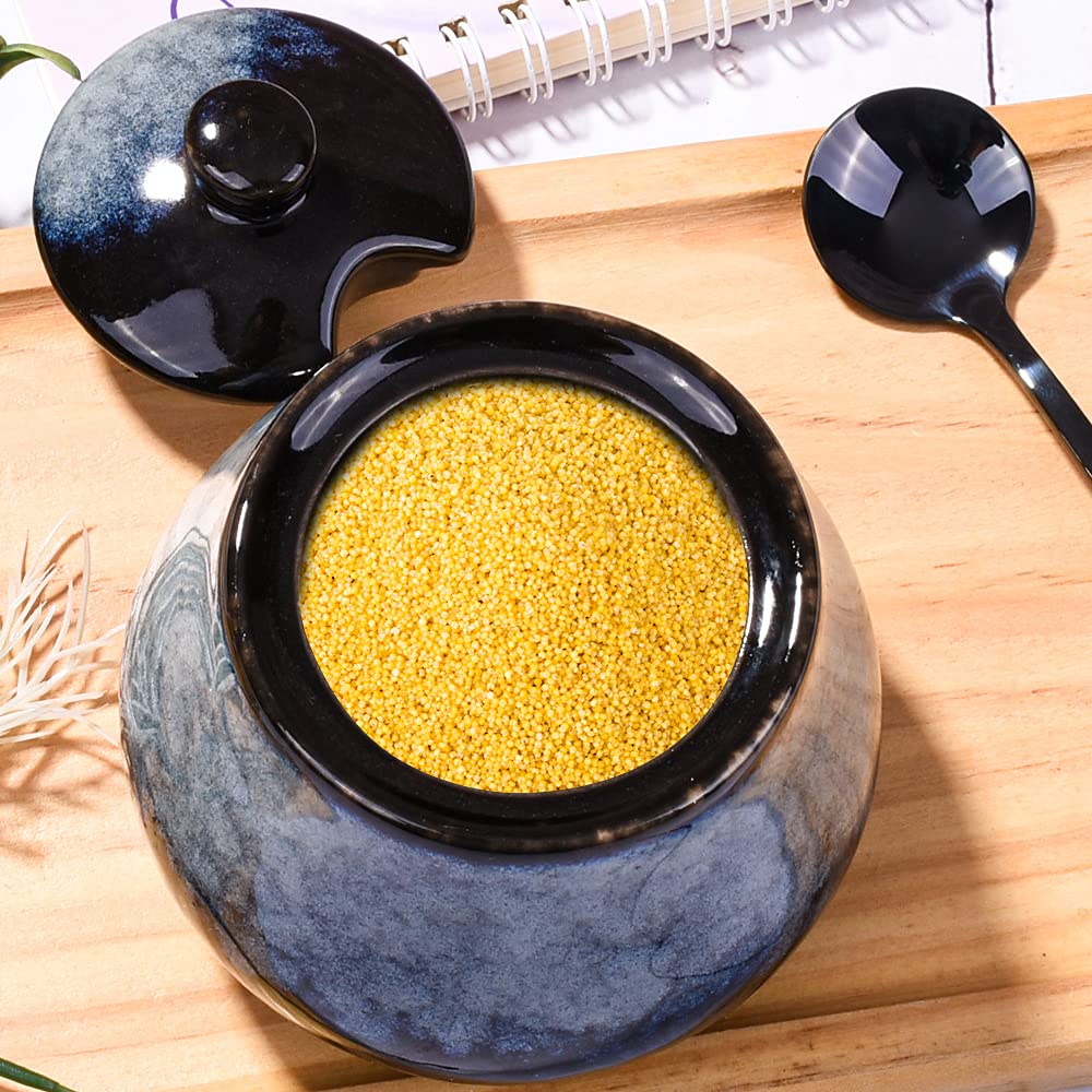 BOSILI Ceramic Sugar Bowl Set of 2, Reactive Glaze Sugar Containers with Lids and Stainless Steel Spoons, Kitchen Canisters for Sugar, Spices, Coffee and Tea